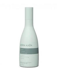 Зволожуючий кондиціонер BJORN AXEN Moisture Conditioner, 250 мл