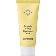 Зволожуючий крем з прополісом By Wishtrend Pro-Biome Balance Cream, 50 мл